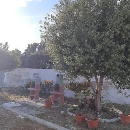 Lea 2